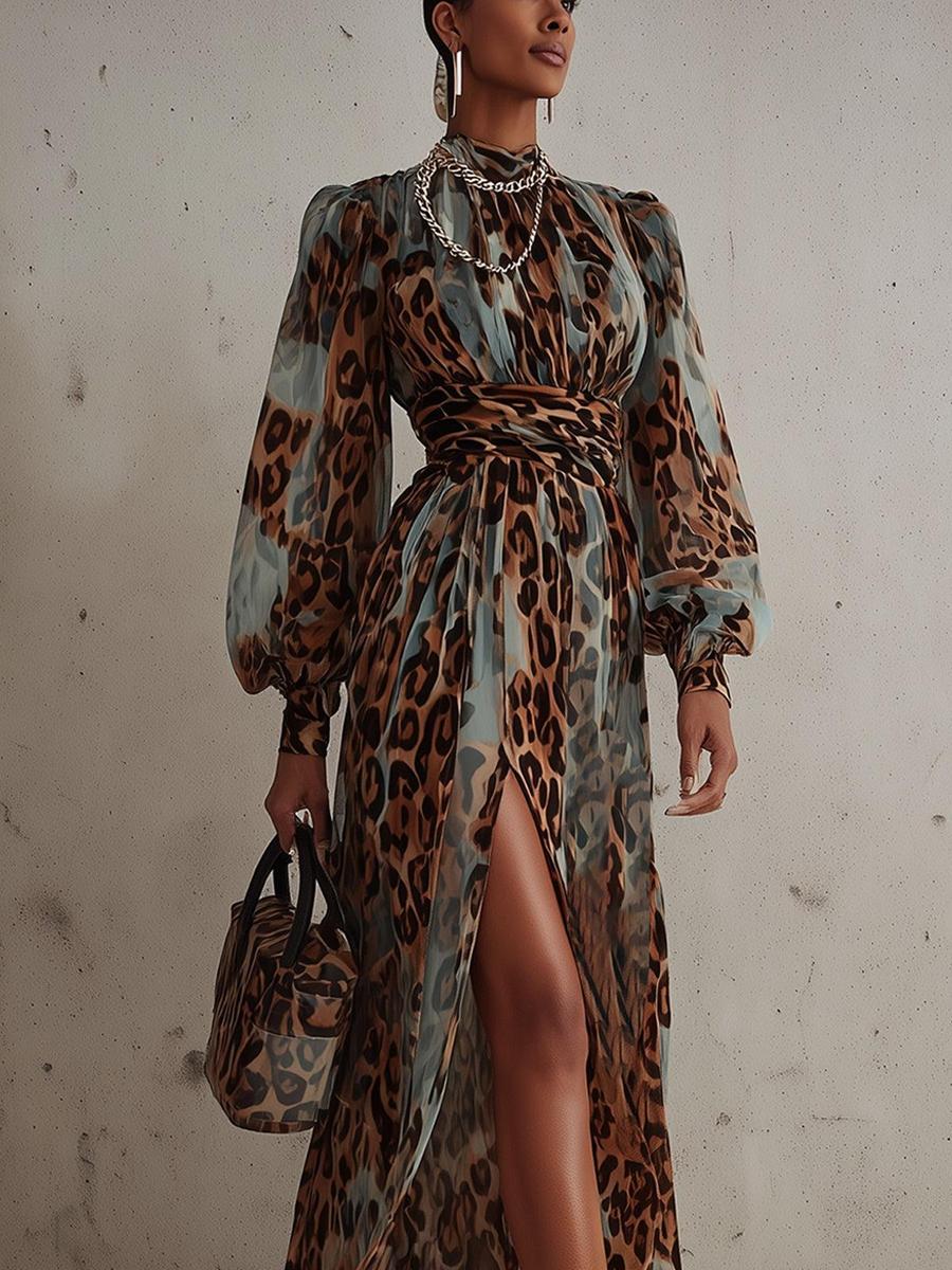 Special Long Sleeve Leopard Maxi Dress
